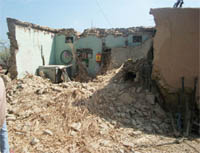 The house at village Sabuana of Fazilka, after its roof caved in on Friday.