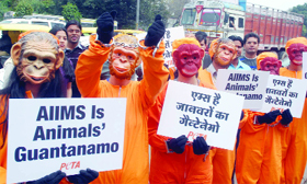 PETA activists, wearing monkey masks and orange prison suits, protest outside AIIMS, demand the release of animals from the laboratories of the institute in New Delhi on Friday.