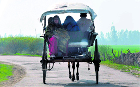 Villagers travel in a horse cart in a border village of RS Pura in Jammu.