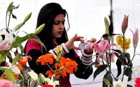 A newly married girl takes photographs at the Spring Fest Flower Festival 2011 in Sector 29, Leisure Valley, Gurgaon