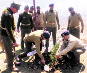 CRPF officials plant a chinar sapling near the Jawahar Tunnel on the Jammu-Srinagar National Highway on Sunday.