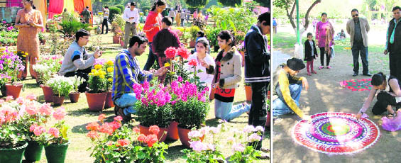IN FULL BLOOM: Visitors check out flowers on display in Ludhiana on Sunday; PATTERNS GALORE: Students participate in a Rangoli contest at a flower show in Ludhiana.