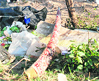 Exhibit B: A sheath of a sword found near the scene of the assault at Sector 49, Chandigarh, on Monday. 