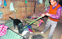 A police dog sniffs for clues to the assailants who killed a forest guard at Rawaisain in Haridwar 