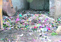 Garbage dumped near Sukhdev Market in Ludhiana