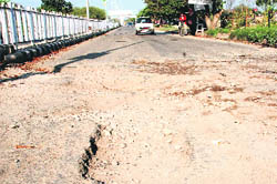 A large pothole leading to internationally acclaimed NIPER and Knowledge City at Phase X.