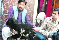 Nafees and his son show the lamb with rare birthmarks in Mussoorie on Friday.