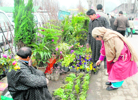 Eco-friendly: As the plantation season is in full swing, a woman buys some saplings from a roadside vendor at Lal Chowk in Srinagar 