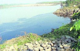 A scene of Walipur village, where toxic water of the Budha nullah flows into the Sutlej.