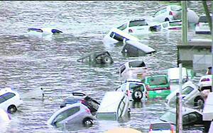 Vehicles float in tsunami water.