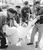 n elderly BJP supporter being forcibly taken to the police station after being arrested by the Chandigarh Police near the residence of Pawan Kumar Bansal in Chandigarh