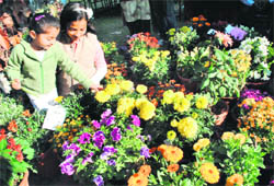 Children enjoy themselves at the flower exhibition in Patiala on Saturday. 