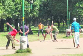 POLISHING SKILLS: With cricket fever gripping the city, children sweat it out at a park in Mohali