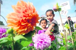 Children look at flowers during a science exhibition and flower show at the Indian Institute of Integrative Medicine in Jammu on Sunday. 