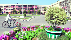 A view of Punjab Agricultural University in Ludhiana