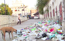 A heap of garbage dumped near Takht Sri Kesgarh Sahib in Anandpur Sahib where the Hola Mohalla celebrations begin