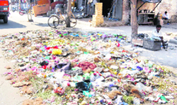 Heaps of garbage lie scattered in a residential area of Doraha due to the strike by safai sewaks.