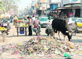 Garbage piled up on a road at Rajpura