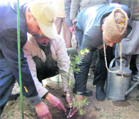 Ali Mohammad Sagar, Minister for Rural Development and Parliamentary Affairs, launches a plantation drive at Hariparbat Hills in Srinagar