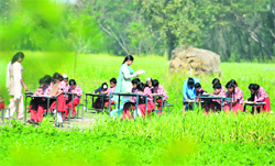 Students of a school near Bishnah of Jammu take an examination in the open