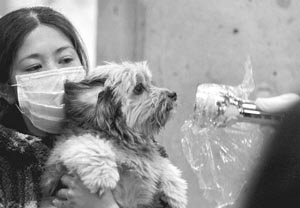 A woman holds her dog as they are scanned for radiation at a scanning centre near Fukushima nuclear plant on Wednesday. 