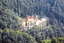 A housing project denudes the green cover in Shimla on Thursday. 