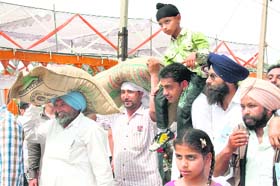 Bagful of joy: Farmers carry bags of seeds purchased during a kisan mela organised at the PAU in Ludhiana
