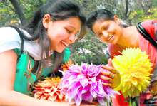Visitors at the annual flower show in Jalandhar Cantonment
