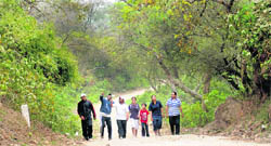 Our recommendation is a day's trip to the Kansal forest. Next to the lake, this small sanctuary offers a quiet world full of natural flora and fauna.
