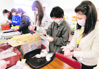 Volunteers make rice balls for tsunami survivors at a shelter in a village in Iwate Prefecture, northeast Japan
