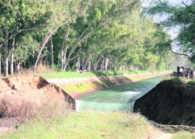 A view of the breach in the Fatehabad branch that has inundated crops on hundreds of acre of land near Bhattu Kalan in Fatehabad