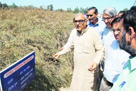 Chief Minister Bhupinder Singh Hooda inspects a Raya field in the research farm of Haryana Agricultural University in Hisar