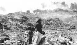 Garbage being burnt in the Industrial Area, Phase VIII, Mohali.