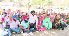 Elementary teachers protest at the DC office after they were not called for counselling by the District Education Officer in Ludhiana