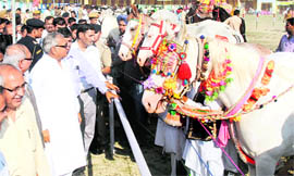 Chief Minister Bhupinder Singh Hooda at a livestock exhibition in Sonepat on Friday.