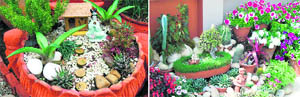 The appropriate use of marble chips, pebbles etc adds life to miniature gardens