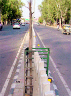 A wilted tree on a road divider where tiles were installed by the MC a few months ago