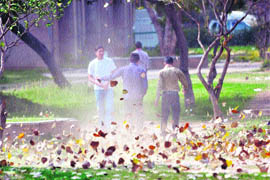 Dry leaves fly around as a dust storm hits Jammu on Monday.