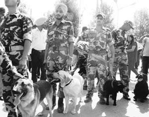 Sniffers dogs being taken to the PCA Stadium in Mohali.