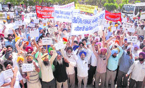 Workers of cooperative sugar mills stage a protest before submitting a charter of demands to the Chief Minister through the Jalandhar Deputy Commissioner on Wednesday.