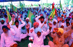 Residents and farmers of three villages around Gidderbaha sub-division protest against acquistion of their agricultural land for setting up a thermal power plant, in Thehari village on the Malout-Bathinda road