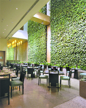 The Living Wall at The Cubbon Pavilion covers an entire section and has around 25,000 plants. It reaches up to the 12th floor in an atrium effect to a height of 30 metres, with a sky light at the top