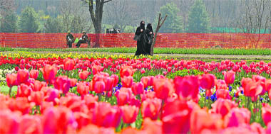 Kashmiri women take a stroll at the Tulip Garden, considered to be the biggest in Asia, on the banks of Dal Lake in Srinagar. 