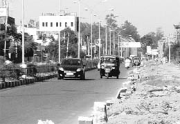 The row of trees that has been cut along the road from Franco light point to Phase IV rotary in Mohali. 