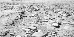 A potholed road in Baltana, Zirakpur. 