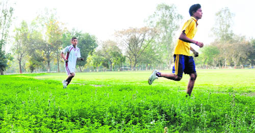 Wild growth of grass at the playground of GMSSS, Sector 23, Chandigarh