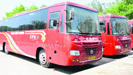 A view of new buses, not being used, parked at the local depot of the CTU. 