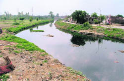 The polluted Budha Nullah flows through Ludhiana