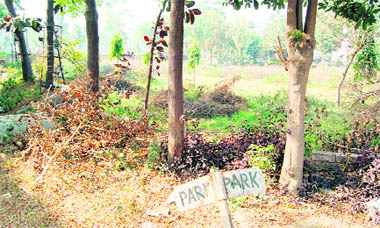 Parks (like this one in New Amritsar) cry for attention.