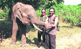 Foreign tourists play with an elephant in Haridwar.